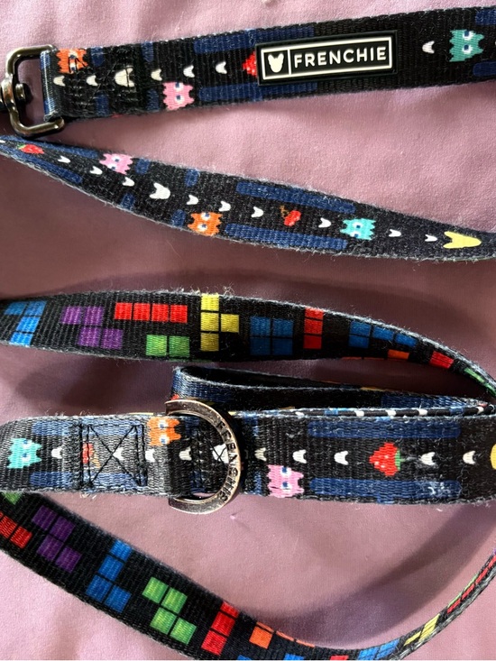Other - Frenchie Retro Pixel Pattern Dog Leash - Multicolor